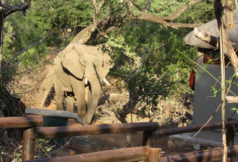 ホテル Baluleni Safari Lodge