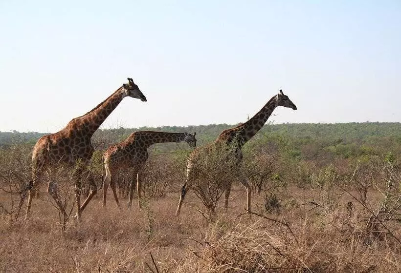 Hotelli Baluleni Safari Lodge