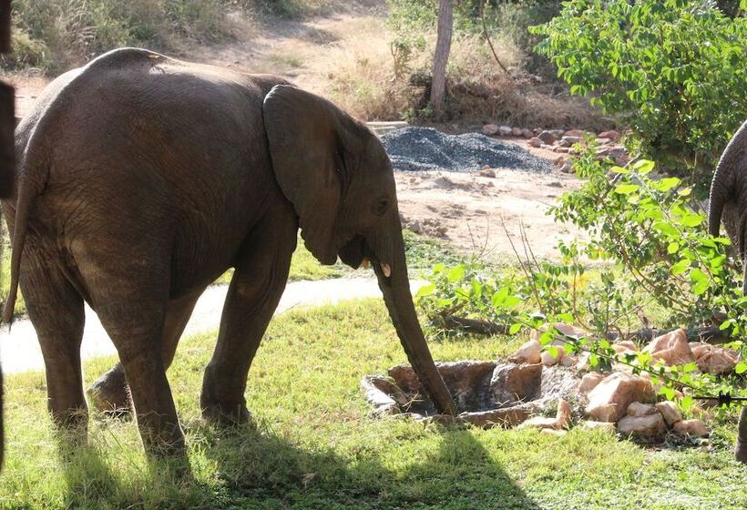 ホテル Baluleni Safari Lodge