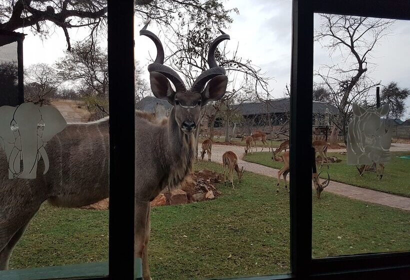 ホテル Baluleni Safari Lodge
