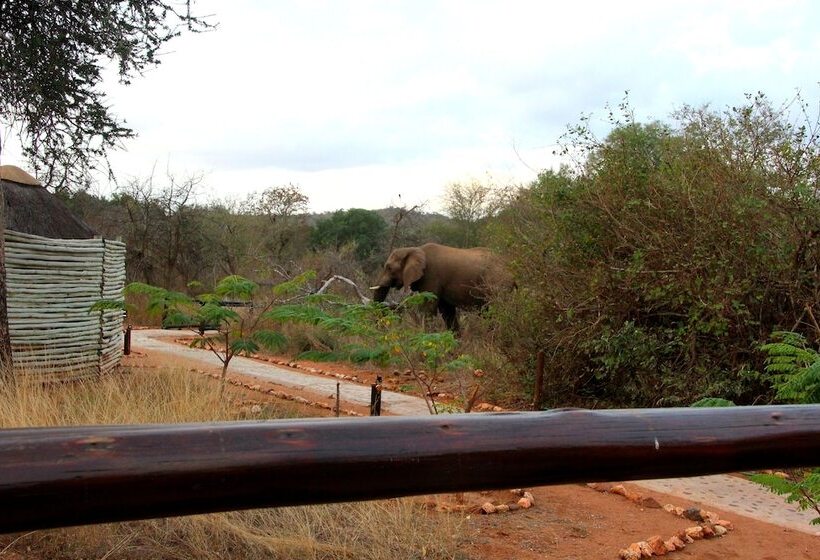 ホテル Baluleni Safari Lodge