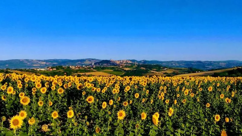 Hotelli Il Focolare