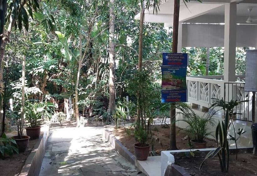 Отель Perhentian Tropicana Inn