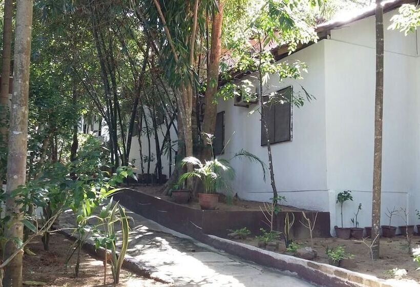 Отель Perhentian Tropicana Inn