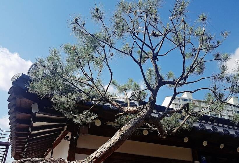 פנסיון Misori Guesthouse