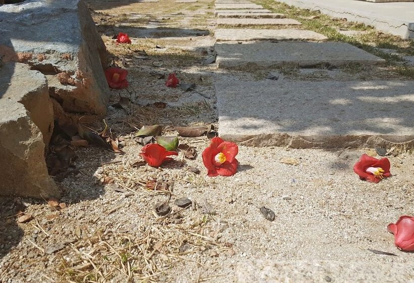 פנסיון Misori Guesthouse