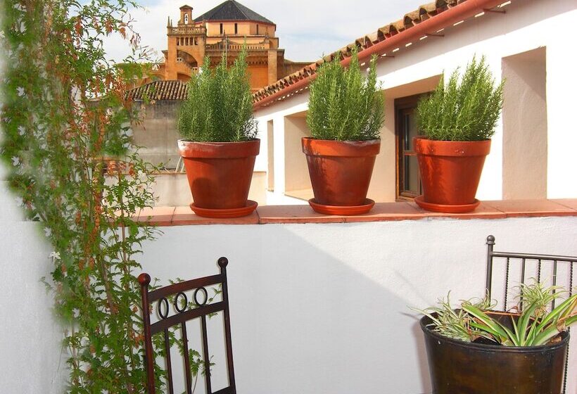 Apartamentos Los Patios De La Judería