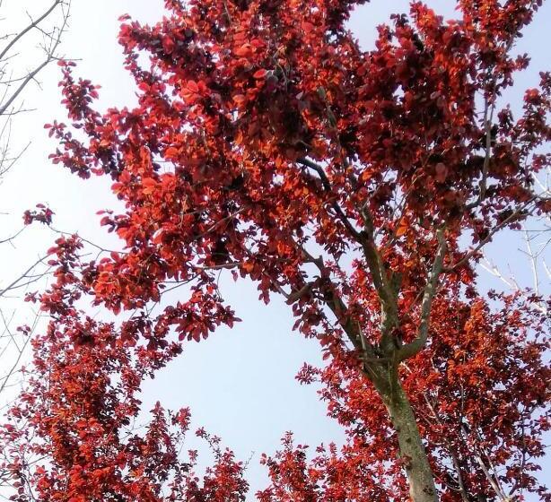 مبيت وإفطار Country House Una