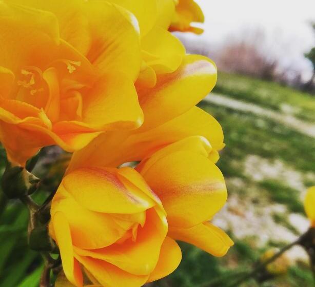 مبيت وإفطار Country House Una