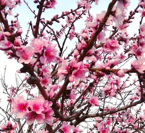 مبيت وإفطار Country House Una