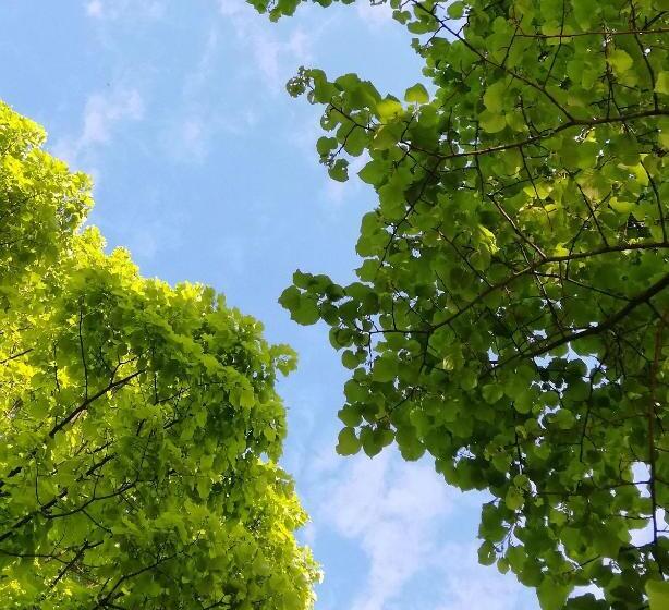 مبيت وإفطار Country House Una