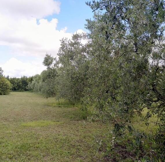 مبيت وإفطار Country House Una