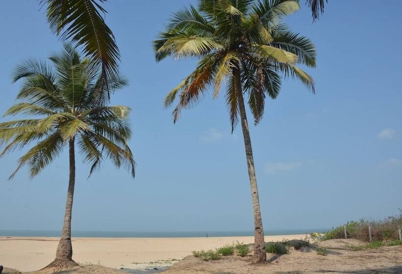 Hotel Betelnut Inn Mrkt By Splenor