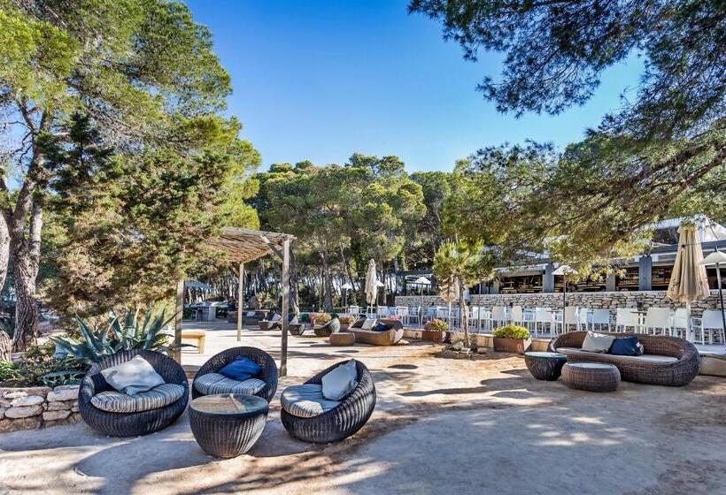 בית מלון כפרי Catalonia Royal Ses Estaques - Adults Only