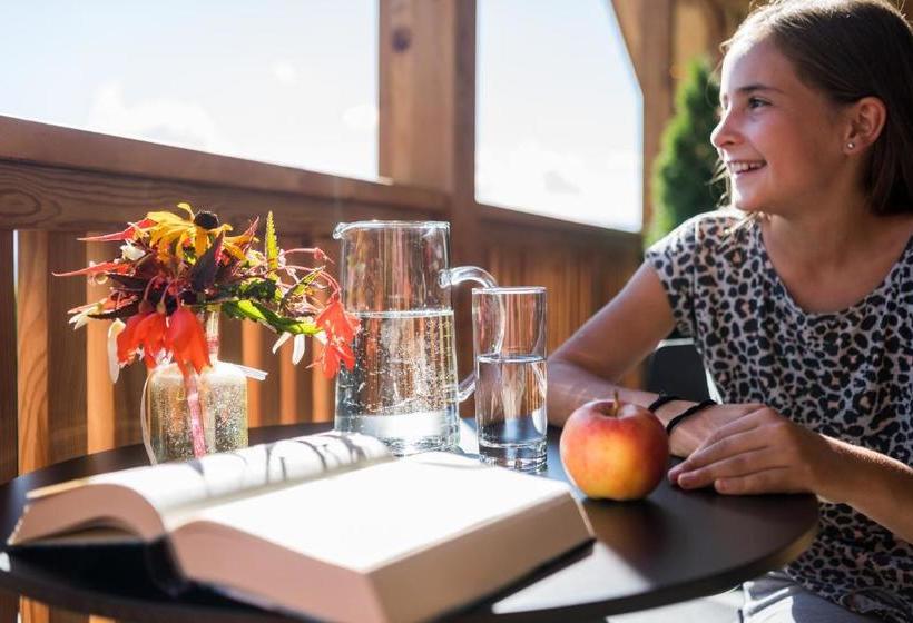 酒店 Garni Mitterstieler