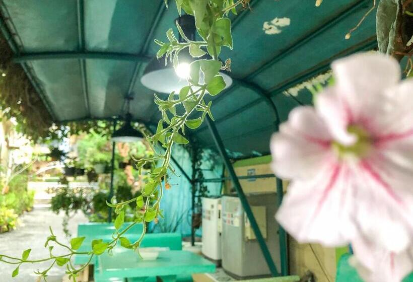 Hotel R.k. Guesthouse