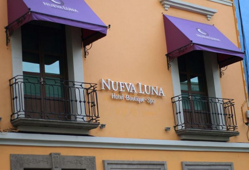 فندق Forrest & Spa Puebla