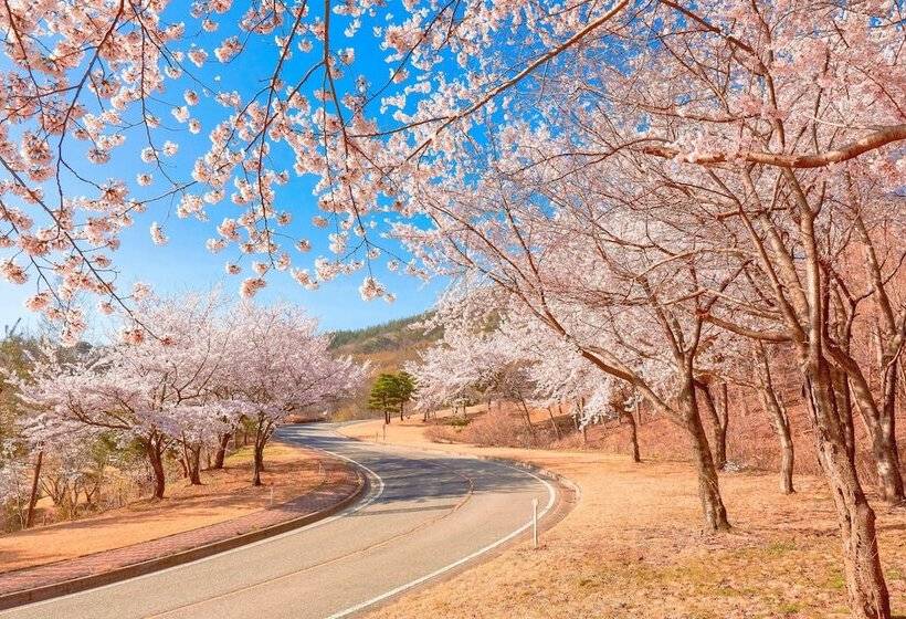 The Mauna Ocean Resort