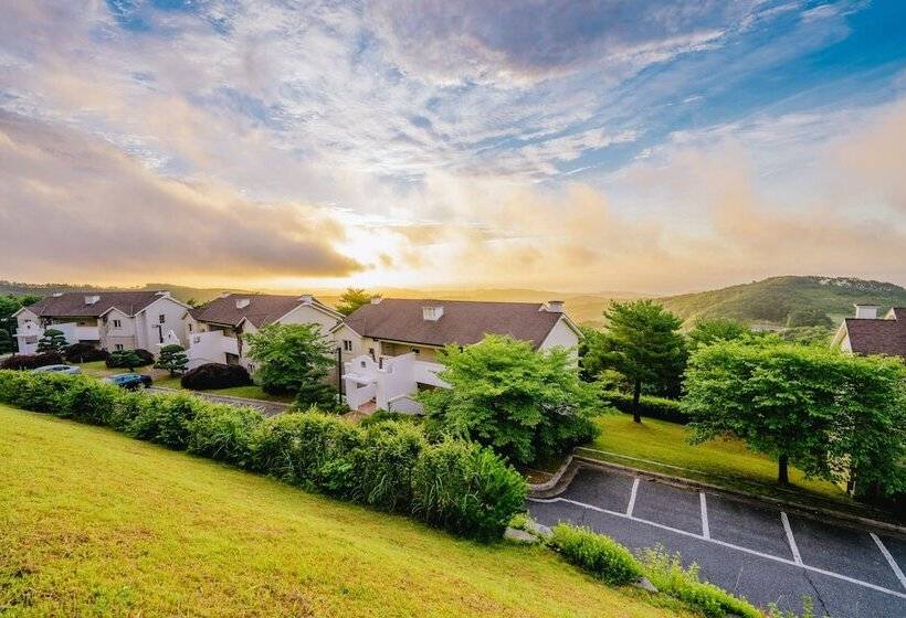 The Mauna Ocean Resort