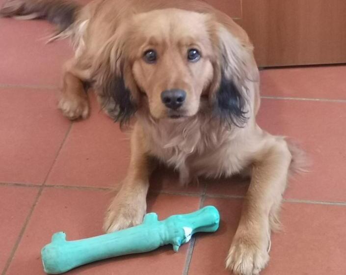 민박 Casa Antica Mosaici