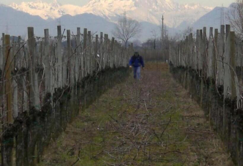 민박 Casa Antica Mosaici