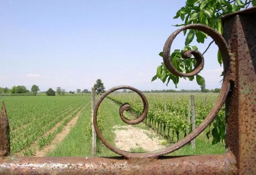 تختخواب و صبحانه Casa Antica Mosaici