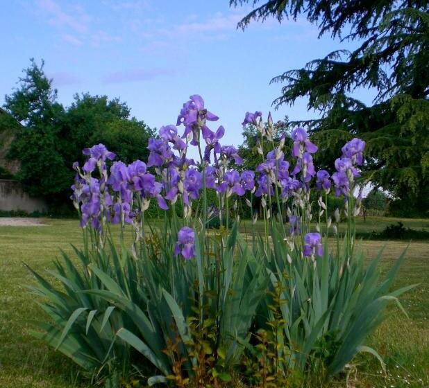 민박 Casa Antica Mosaici