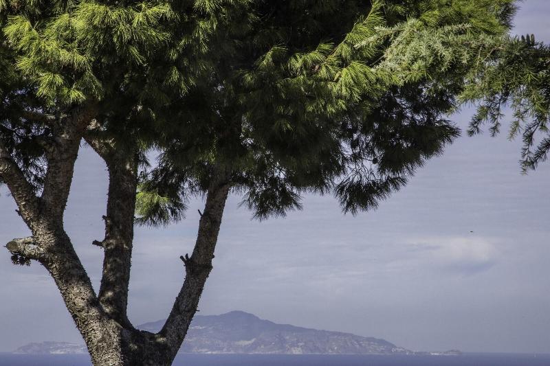 تختخواب و صبحانه Il Giardino dell'Arte