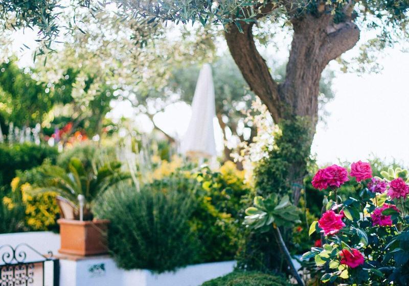 تختخواب و صبحانه Il Giardino dell'Arte