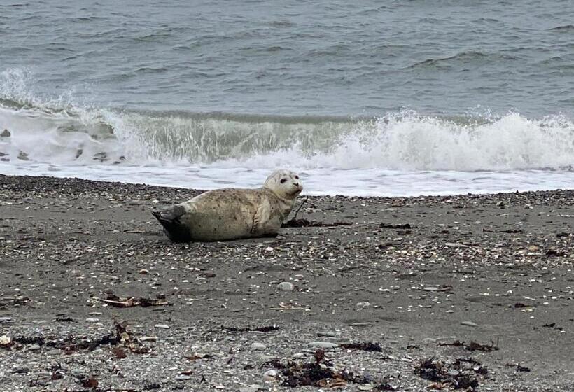住宿加早餐 La Maison Entre Mer Montagnes