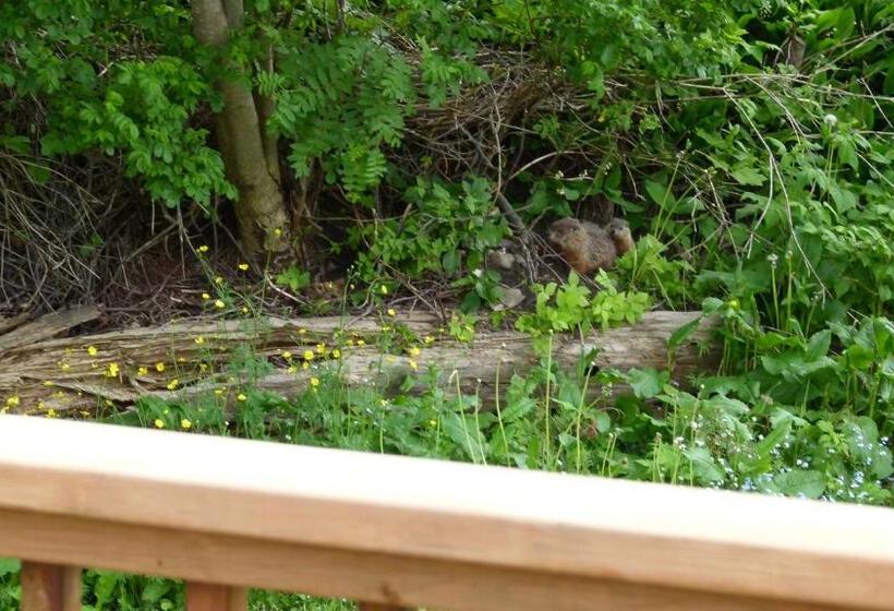 住宿加早餐 La Maison Entre Mer Montagnes