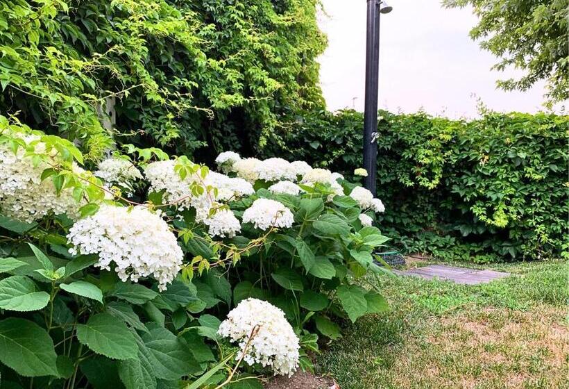 צימר Malpassuti Resort