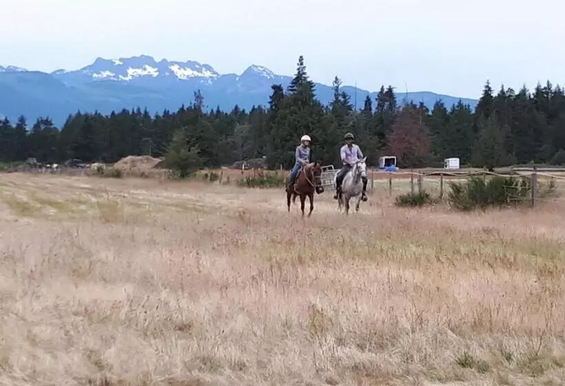 ベッドアンドブレックファースト Paradise Acres Ranch