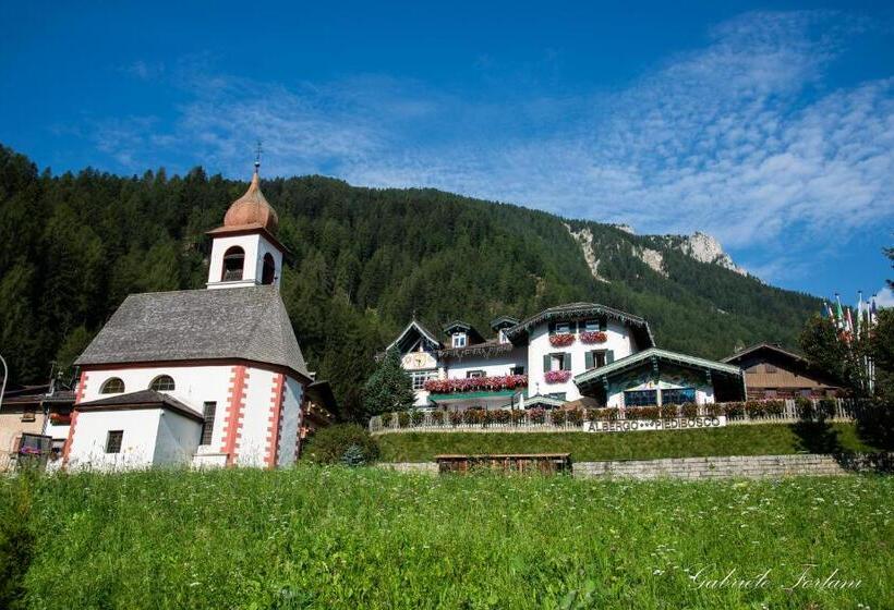 Отель Piedibosco