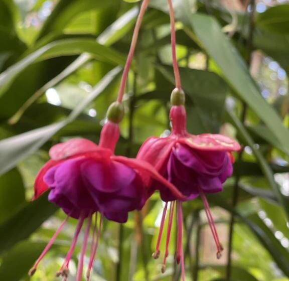 Tambaridge Bed & Breakfast