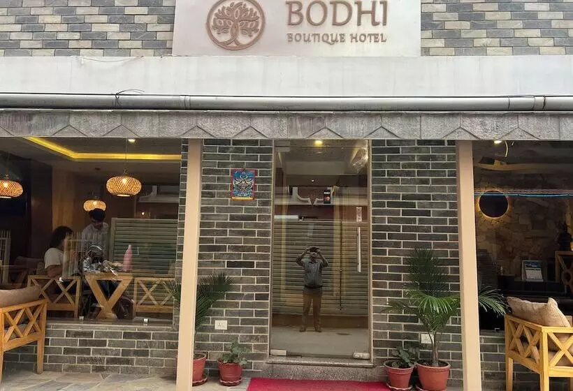تختخواب و صبحانه Bodhi Boutique