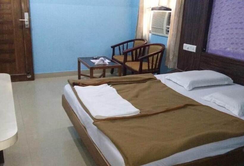 Bed and Breakfast Raj Residency