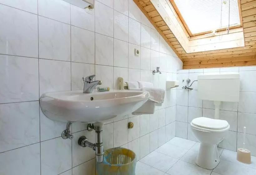 Hotelli Pansion Alen Dugi Otok