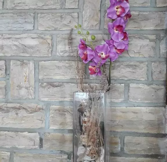 Hotelli Pansion Alen Dugi Otok