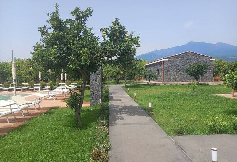 בית מלון כפרי Lumia Resort