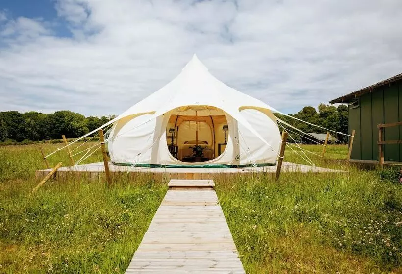 Luxury Glamping Retreat In Battle