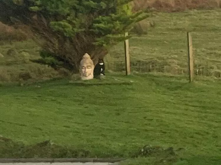 Majatalo Cleadail Guest House