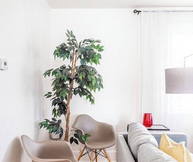 پانسیون Wells Whole House