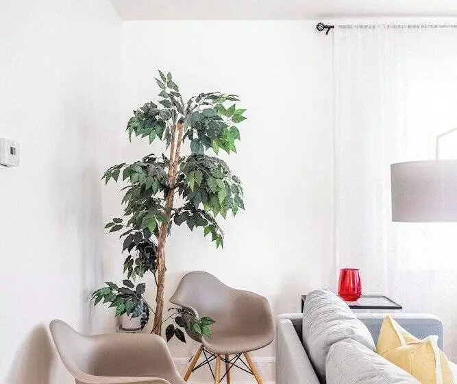 پانسیون Wells Whole House