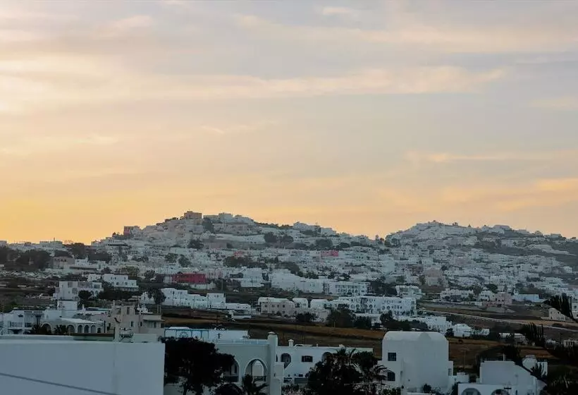 Seven Grapes   Karterados