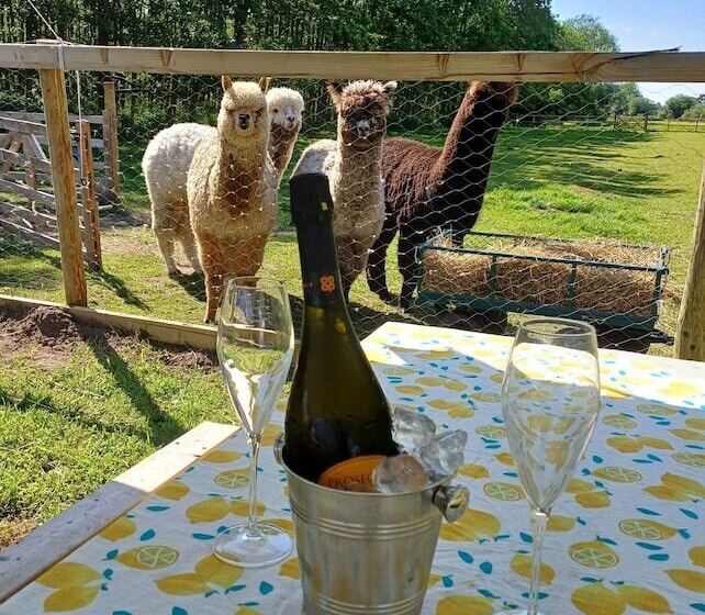 The Botanist Luxury Cabin With Hot Tub Near York