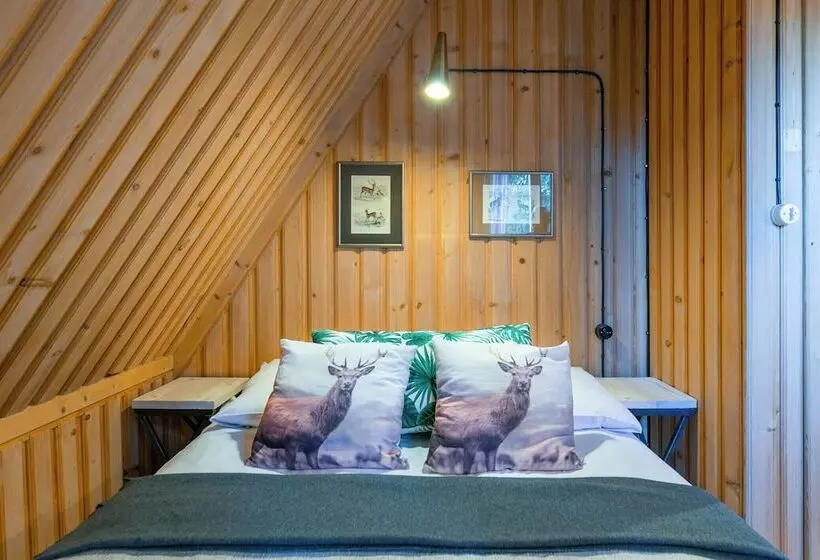 Aamiaismajoitus (B&B) Leśniczówka U Zięby