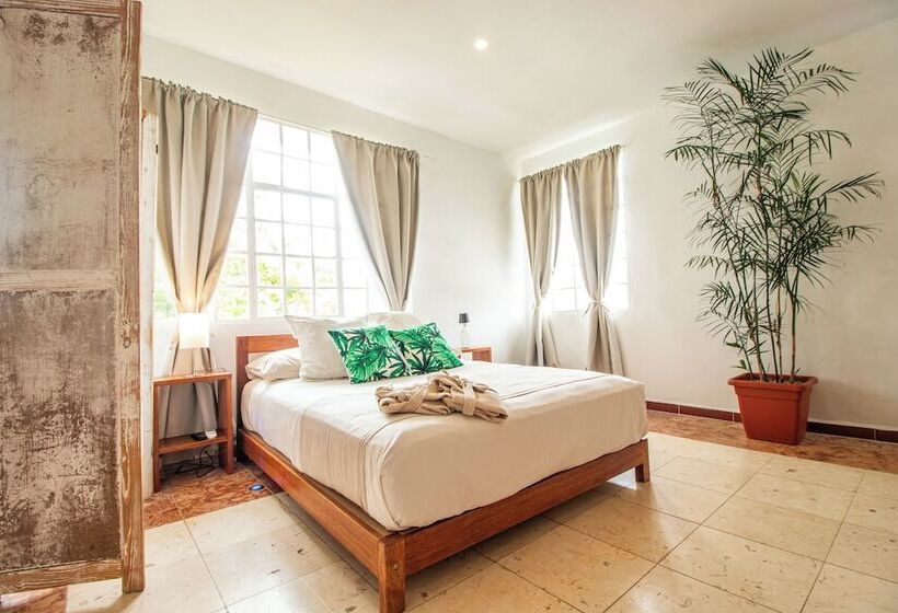 تختخواب و صبحانه Residencia Albero Dulce