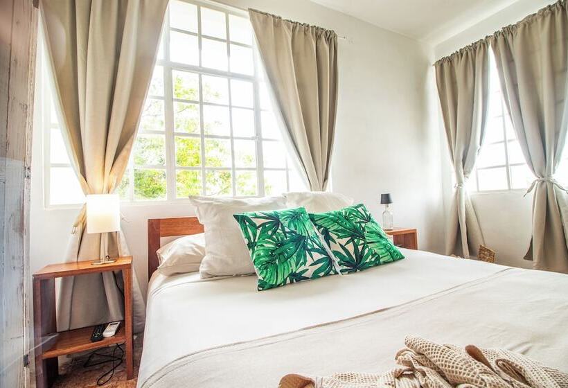 تختخواب و صبحانه Residencia Albero Dulce