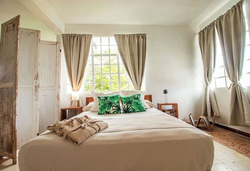 تختخواب و صبحانه Residencia Albero Dulce